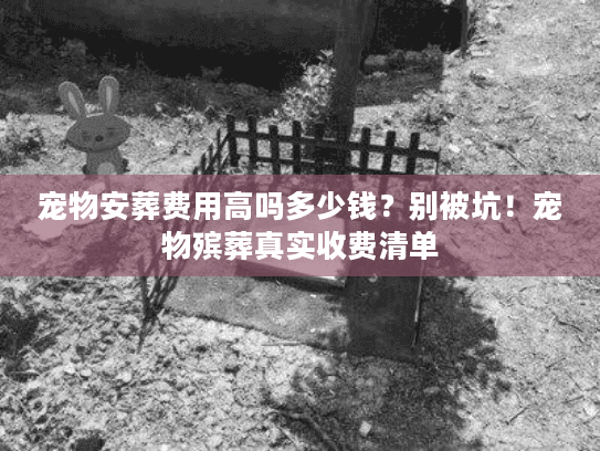 宠物安葬费用高吗多少钱？别被坑！宠物殡葬真实收费清单