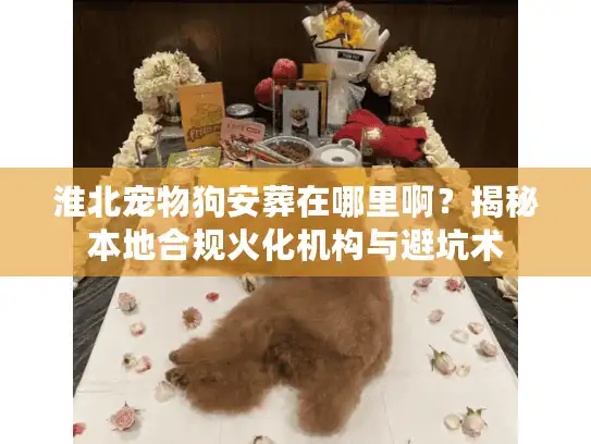 淮北宠物狗安葬在哪里啊？揭秘本地合规火化机构与避坑术