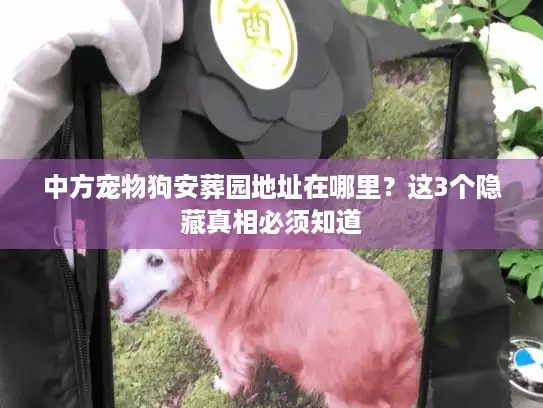 中方宠物狗安葬园地址在哪里？这3个隐藏真相必须知道