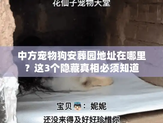 中方宠物狗安葬园地址在哪里？这3个隐藏真相必须知道