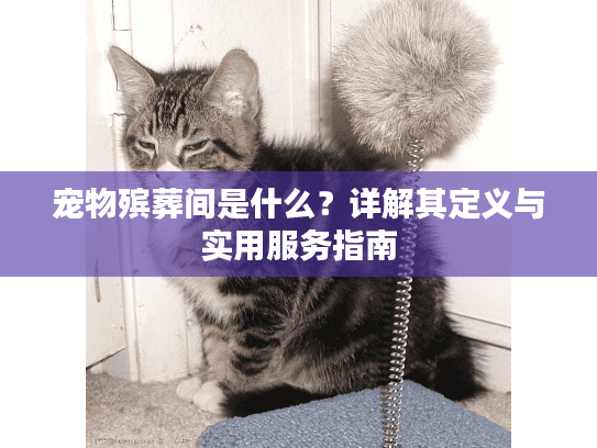 宠物殡葬间是什么？详解其定义与实用服务指南