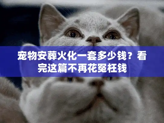 宠物安葬火化一套多少钱?看完这篇不再花冤枉钱 宠物安葬火化一套多少钱?看完这篇不再花冤枉钱