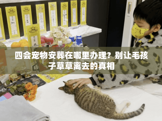 四会宠物安葬在哪里办理?别让毛孩子草草离去的真相 四会宠物安葬在哪里办理?别让毛孩子草草离去的真相