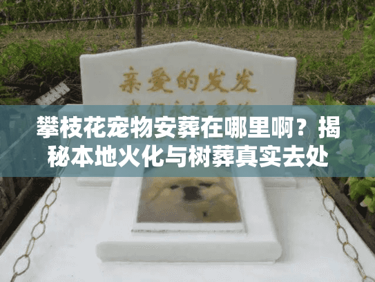 攀枝花宠物安葬在哪里啊？揭秘本地火化与树葬真实去处
