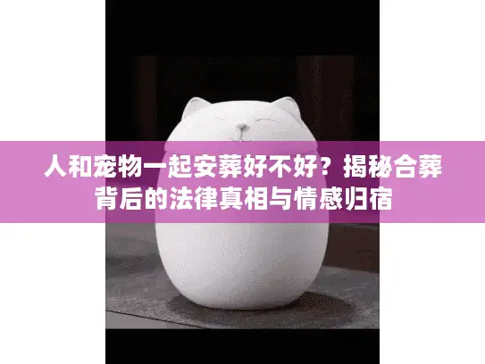 人和宠物一起安葬好不好？揭秘合葬背后的法律真相与情感归宿