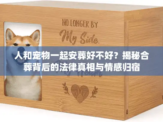 人和宠物一起安葬好不好？揭秘合葬背后的法律真相与情感归宿