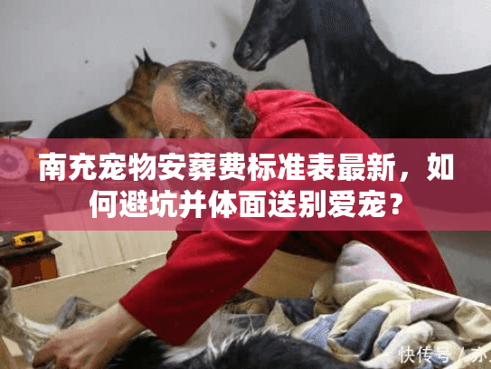 南充宠物安葬费标准表最新，如何避坑并体面送别爱宠？