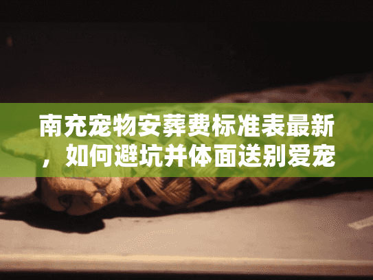 南充宠物安葬费标准表最新，如何避坑并体面送别爱宠？