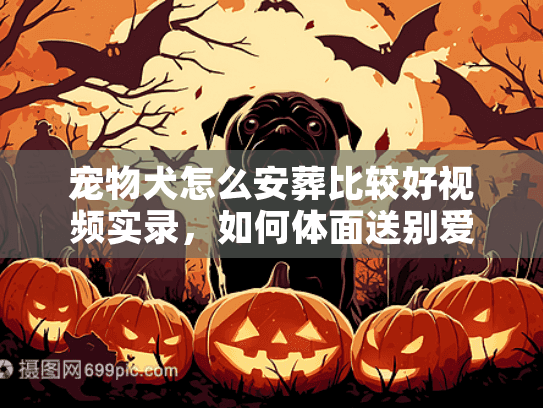 宠物犬怎么安葬比较好视频实录，如何体面送别爱犬