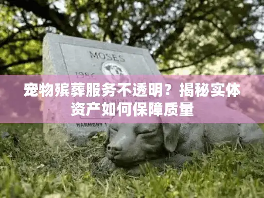 宠物殡葬服务不透明？揭秘实体资产如何保障质量