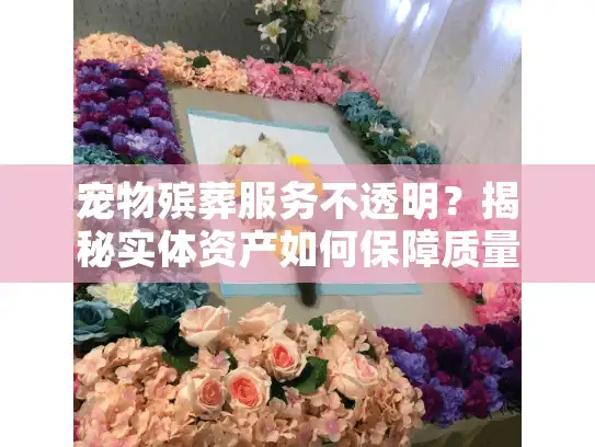 宠物殡葬服务不透明？揭秘实体资产如何保障质量