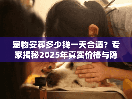 宠物安葬多少钱一天合适？专家揭秘2025年真实价格与隐形消费