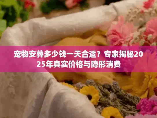 宠物安葬多少钱一天合适？专家揭秘2025年真实价格与隐形消费