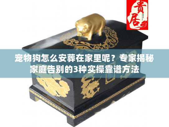 宠物狗怎么安葬在家里呢？专家揭秘家庭告别的3种实操靠谱方法
