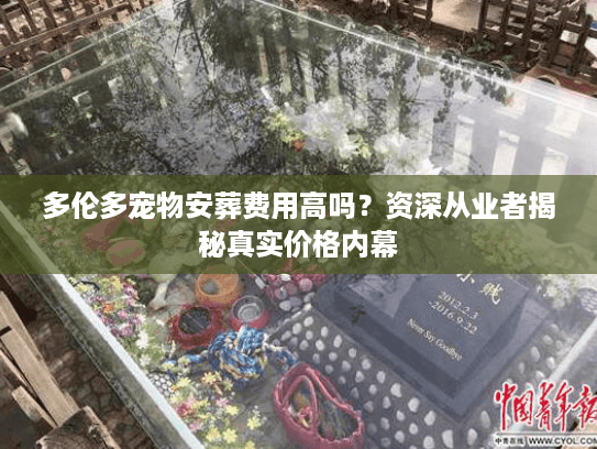 多伦多宠物安葬费用高吗？资深从业者揭秘真实价格内幕
