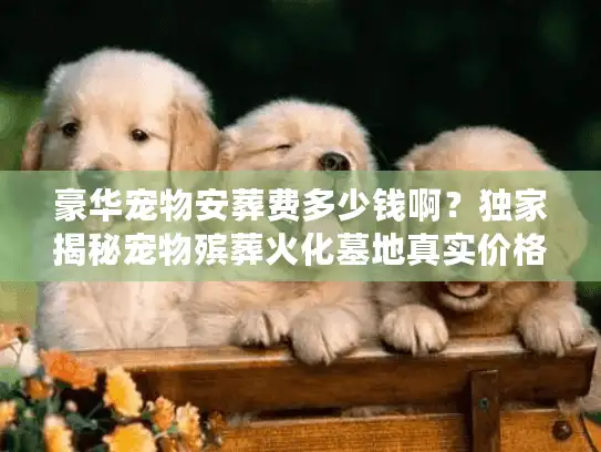 豪华宠物安葬费多少钱啊？独家揭秘宠物殡葬火化墓地真实价格