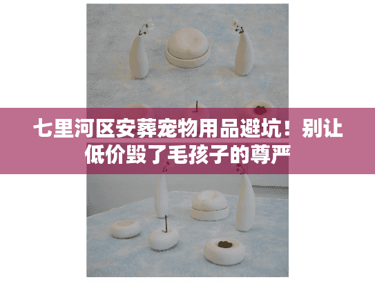 七里河区安葬宠物用品避坑！别让低价毁了毛孩子的尊严