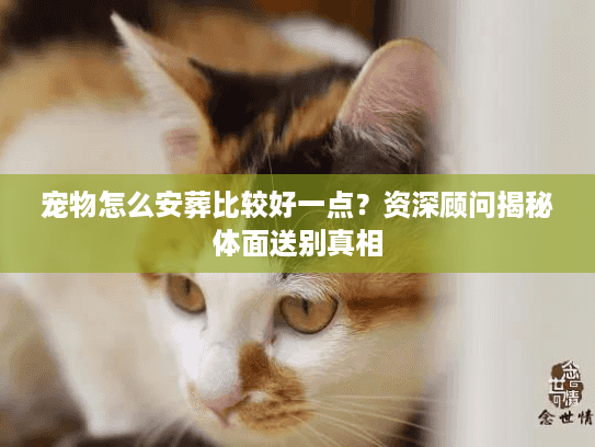 宠物怎么安葬比较好一点？资深顾问揭秘体面送别真相