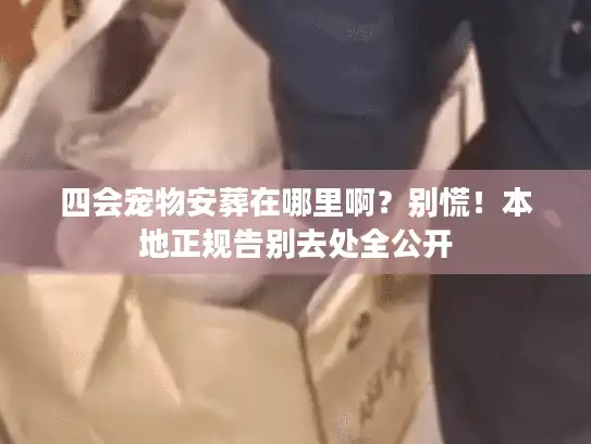 四会宠物安葬在哪里啊?别慌!本地正规告别去处全公开 四会宠物安葬在哪里啊?别慌!本地正规告别去处全公开