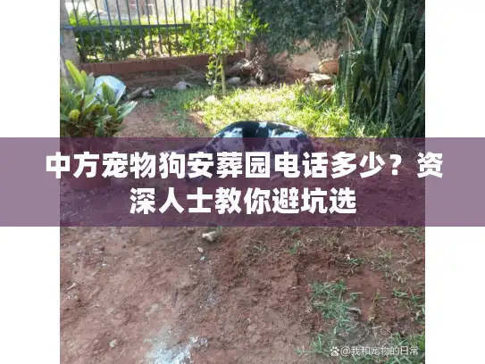 中方宠物狗安葬园电话多少？资深人士教你避坑选