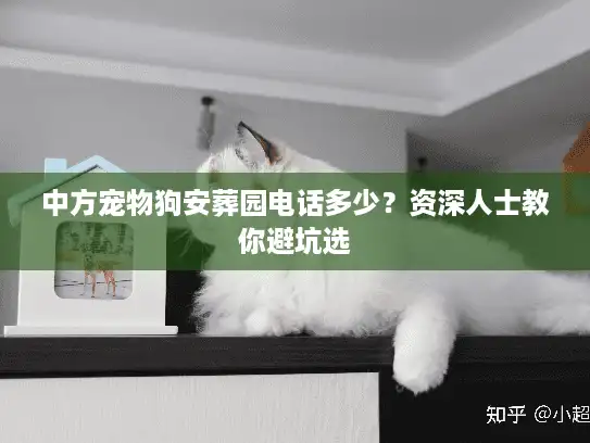 中方宠物狗安葬园电话多少？资深人士教你避坑选