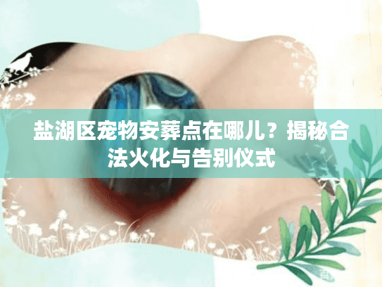 盐湖区宠物安葬点在哪儿？揭秘合法火化与告别仪式