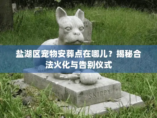 盐湖区宠物安葬点在哪儿？揭秘合法火化与告别仪式