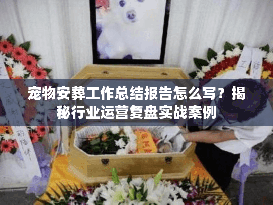 宠物安葬工作总结报告怎么写？揭秘行业运营复盘实战案例
