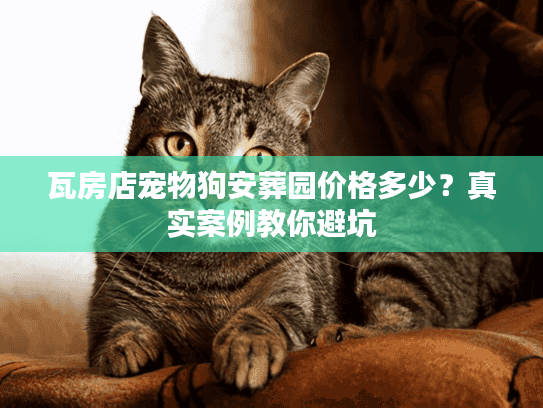 瓦房店宠物狗安葬园价格多少？真实案例教你避坑