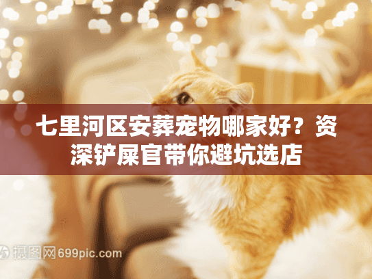 七里河区安葬宠物哪家好？资深铲屎官带你避坑选店