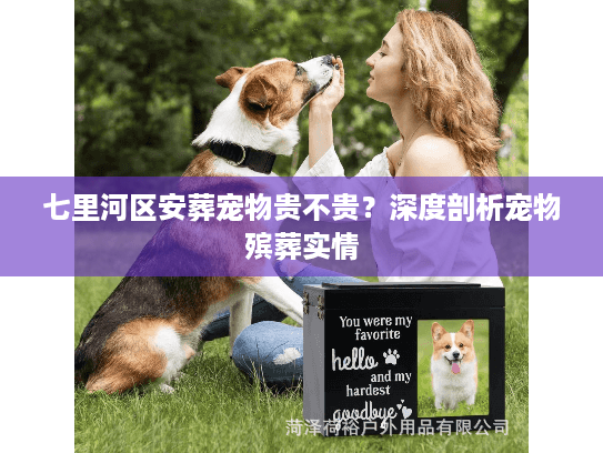七里河区安葬宠物贵不贵？深度剖析宠物殡葬实情