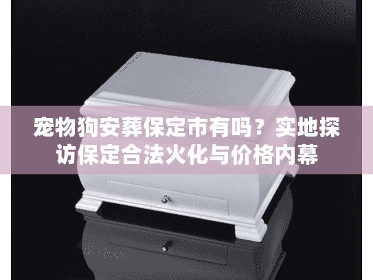 宠物狗安葬保定市有吗？实地探访保定合法火化与价格内幕