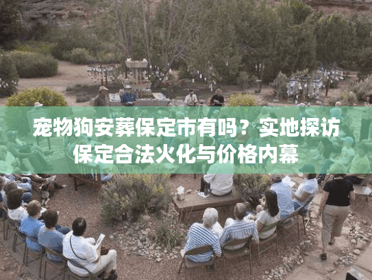 宠物狗安葬保定市有吗？实地探访保定合法火化与价格内幕