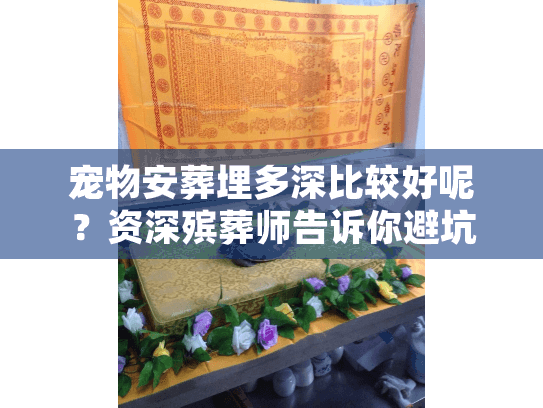 宠物安葬埋多深比较好呢？资深殡葬师告诉你避坑真相