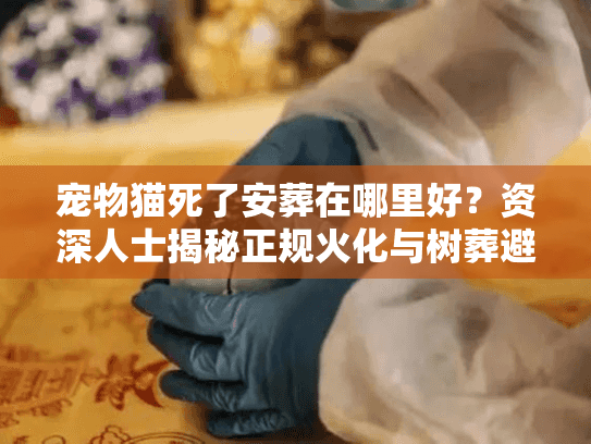 宠物猫死了安葬在哪里好?资深人士揭秘正规火化与树葬避坑 宠物猫死了安葬在哪里好?资深人士揭秘正规火化与树葬避坑