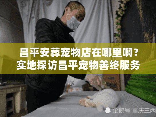 昌平安葬宠物店在哪里啊？实地探访昌平宠物善终服务