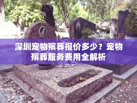 深圳宠物殡葬报价多少？宠物殡葬服务费用全解析