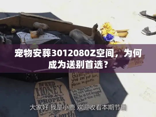 宠物安葬3012080Z空间，为何成为送别首选？