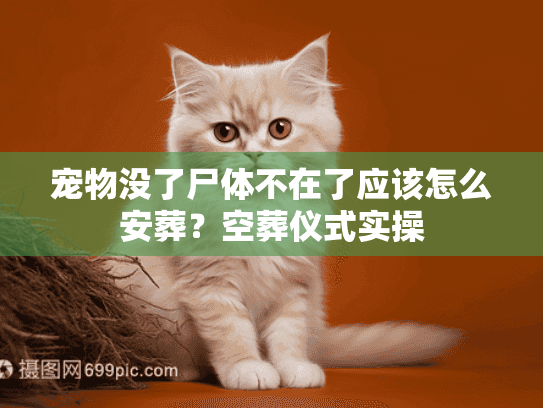 宠物没了尸体不在了应该怎么安葬?空葬仪式实操 宠物没了尸体不在了应该怎么安葬?空葬仪式实操