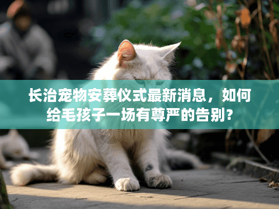 长治宠物安葬仪式最新消息，如何给毛孩子一场有尊严的告别？