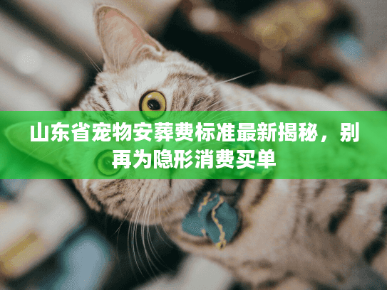 山东省宠物安葬费标准最新揭秘,别再为隐形消费买单 山东省宠物安葬费标准最新揭秘,别再为隐形消费买单