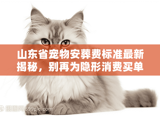 山东省宠物安葬费标准最新揭秘,别再为隐形消费买单 山东省宠物安葬费标准最新揭秘,别再为隐形消费买单