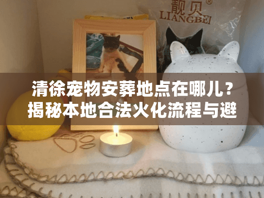 清徐宠物安葬地点在哪儿？揭秘本地合法火化流程与避坑细节