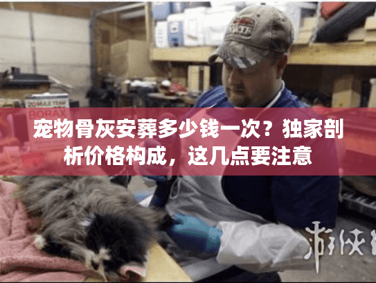 宠物骨灰安葬多少钱一次？独家剖析价格构成，这几点要注意