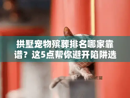 拱墅宠物殡葬排名哪家靠谱？这5点帮你避开陷阱选对服务