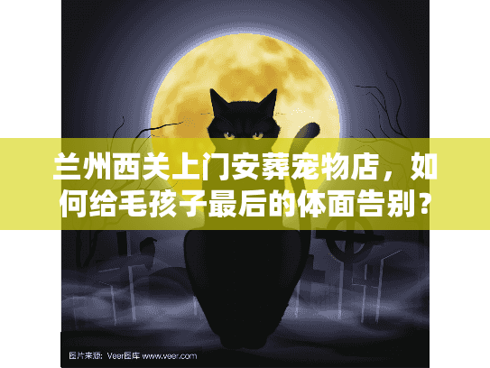 兰州西关上门安葬宠物店，如何给毛孩子最后的体面告别？