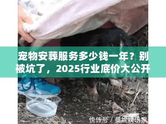 宠物安葬服务多少钱一年？别被坑了，2025行业底价大公开