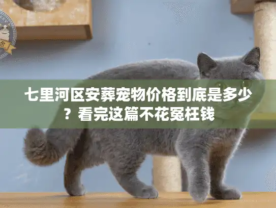 七里河区安葬宠物价格到底是多少?看完这篇不花冤枉钱 七里河区安葬宠物价格到底是多少?看完这篇不花冤枉钱