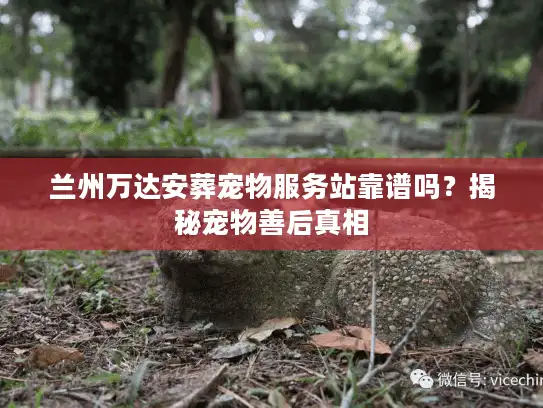 兰州万达安葬宠物服务站靠谱吗?揭秘宠物善后真相 兰州万达安葬宠物服务站靠谱吗?揭秘宠物善后真相