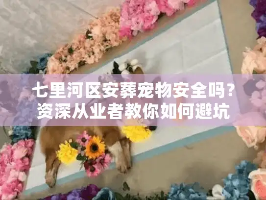 七里河区安葬宠物安全吗？资深从业者教你如何避坑
